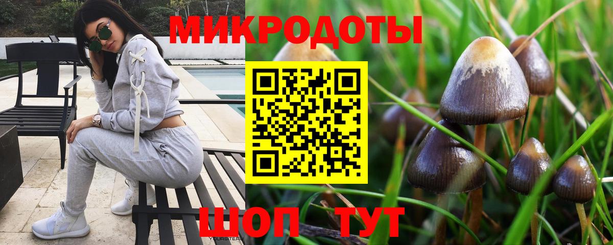 Галлюциногенные грибы мицелий Ливны