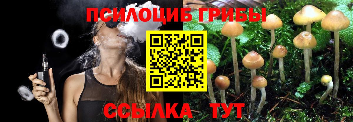 сколько стоит  Псилоцибиновые грибы Psilocybine cubensis  Вход с VPN  Ливны 